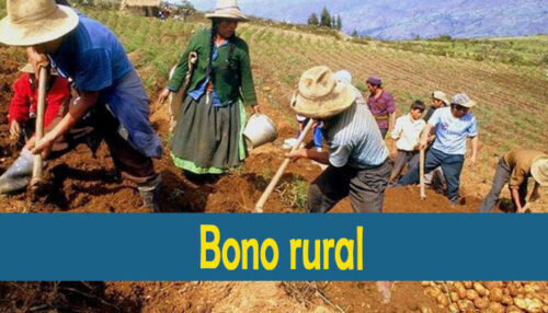 Bono rural